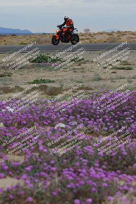 media/Jan-14-2023-SoCal Trackdays (Sat) [[497694156f]]/Turn 14 Exit Bloomig (145pm)/